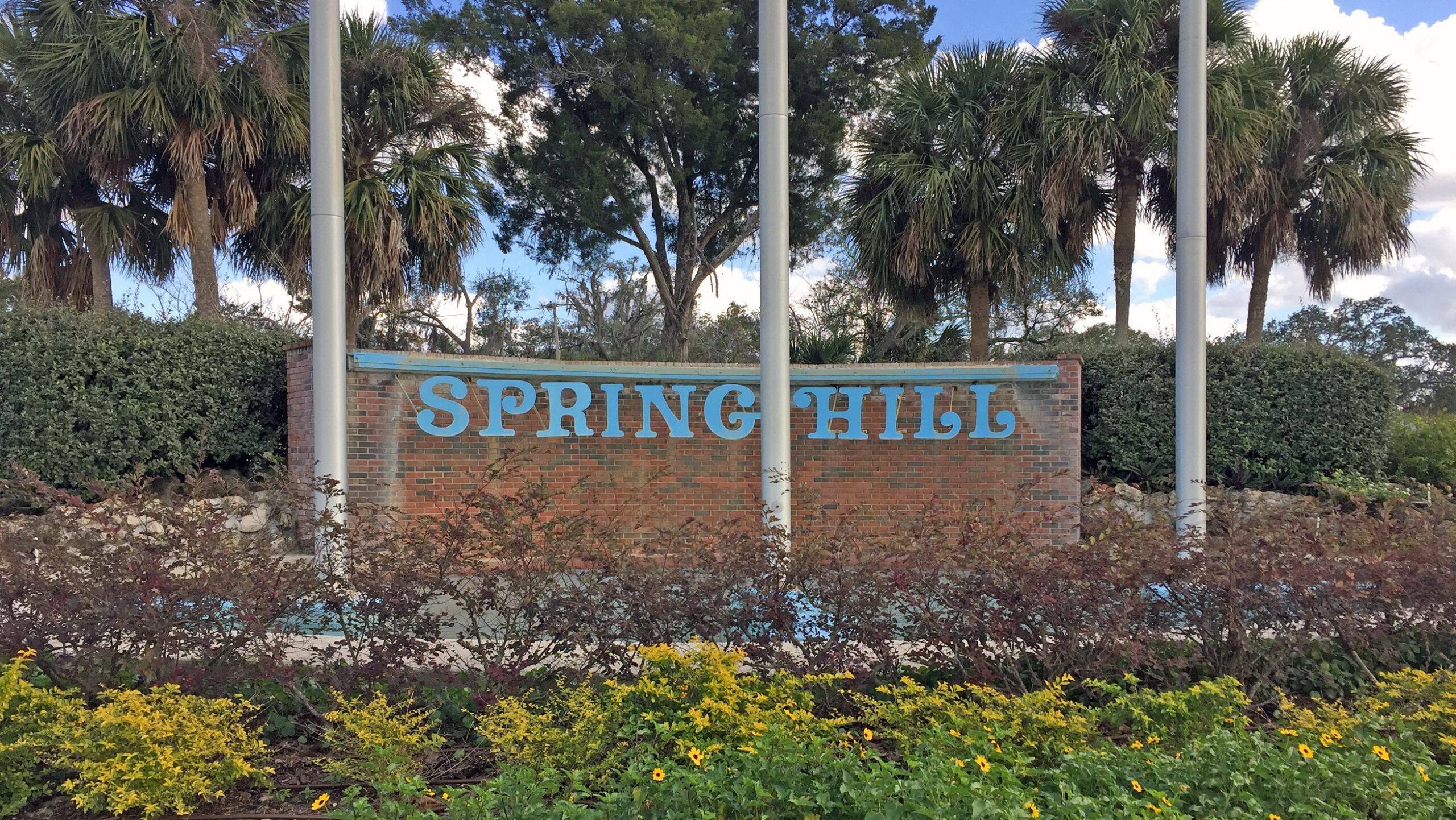 Car Insurance Coverage in Spring Hill, Florida