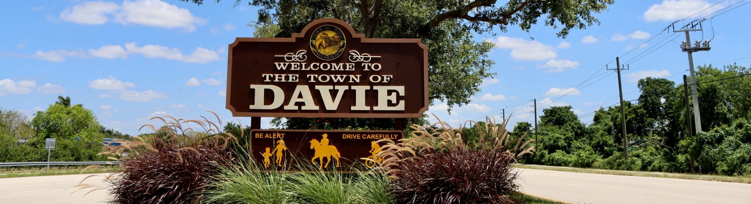 Hit-and-Runs in Davie Town, Florida