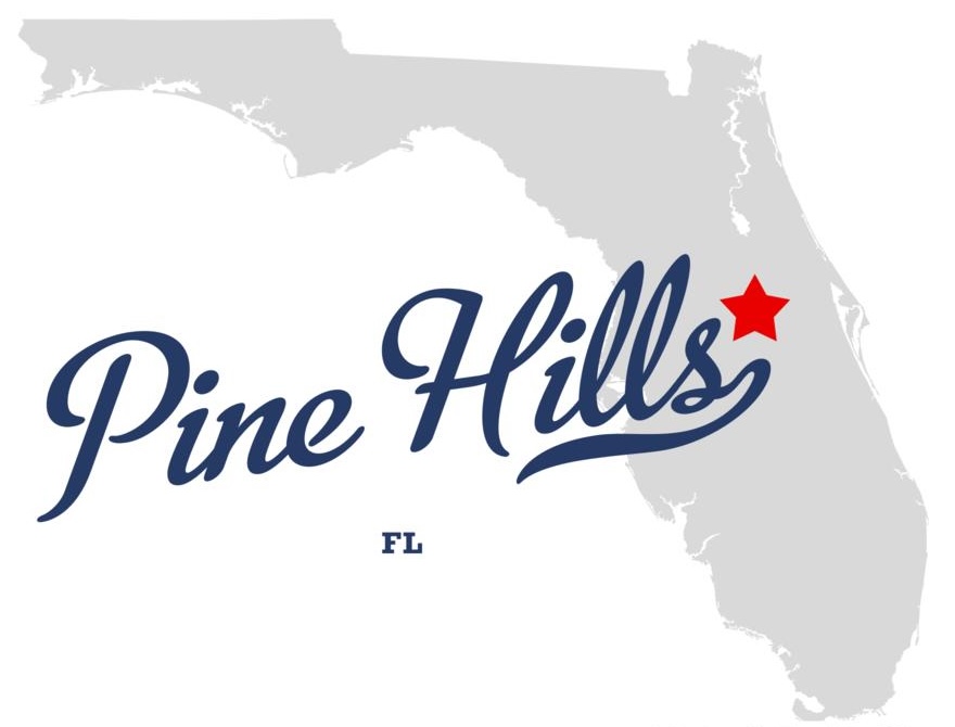 Hit-and-Runs in Pine Hills, Florida