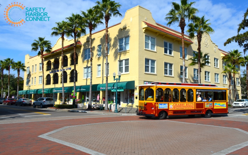 Dash Cams in Safety Harbor, Florida