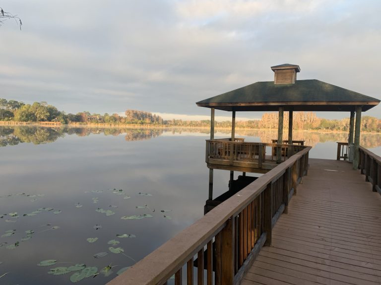 Steps After a Slip and Fall in Land O’ Lakes, Florida – News