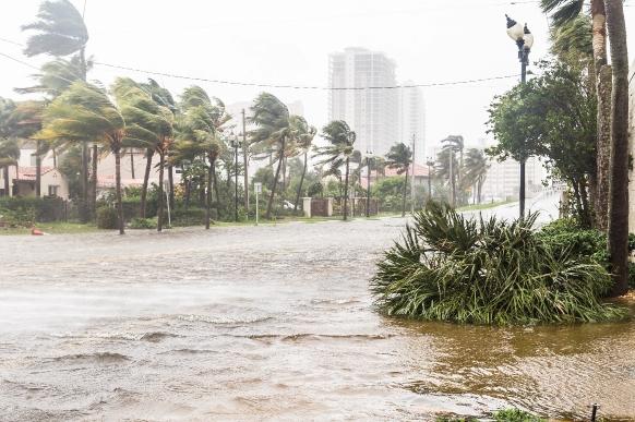Facts About Flooding in Florida – News